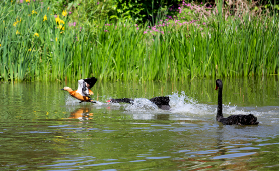 说明: //rcb.91-bbs.com/__local/5/A1/BF/141495AC6945C309DDB4AD2C889_6E35C68A_1210AD.png