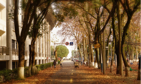 说明: //rcb.91-bbs.com/__local/F/DC/AD/26AAF68465C39908E951504ECA2_E70C2E5D_119062.png